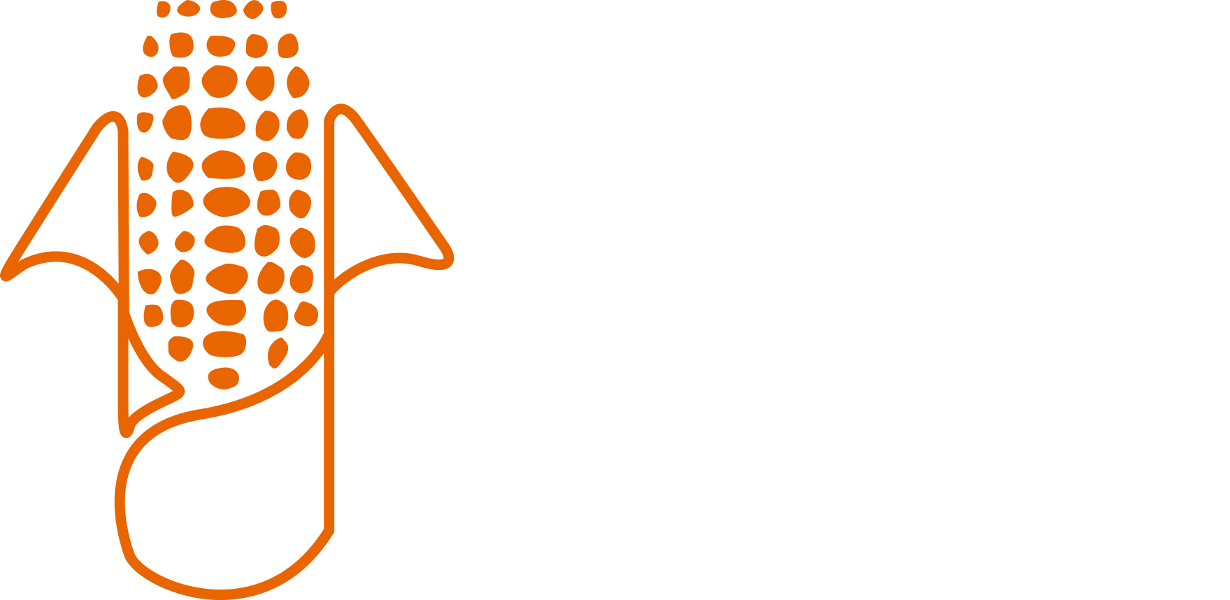 Logo Nixtamatic